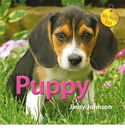 Cover for Jinny Johnson · My New Pet: Puppy - My New Pet (Taschenbuch) [Illustrated edition] (2015)