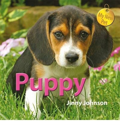 Cover for Jinny Johnson · My New Pet: Puppy - My New Pet (Paperback Bog) [Illustrated edition] (2015)