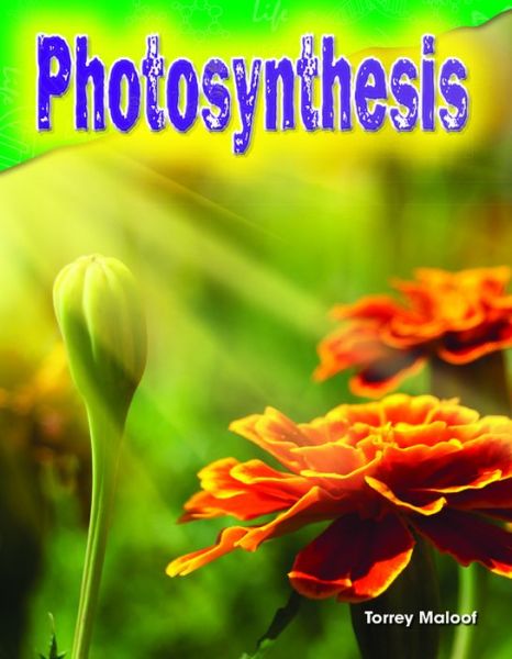 Cover for Torrey Maloof · Photosynthesis (Paperback Book) (2015)