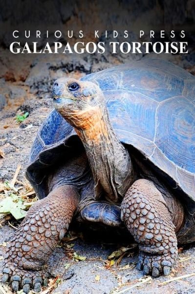 Cover for Curious Kids Press · Galapagos Tortoise - Curious Kids Press: Kids Book About Animals and Wildlife, Children's Books 4-6 (Paperback Book) (2014)