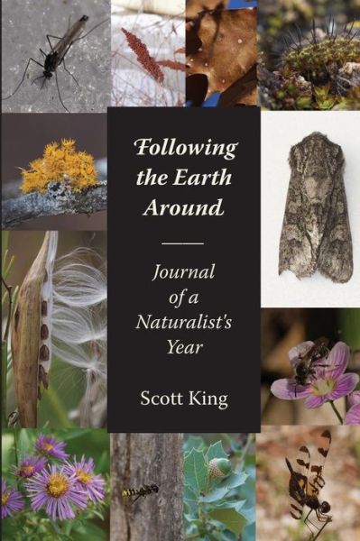 Cover for Scott King · Following the Earth Around (Paperback Book) (2018)