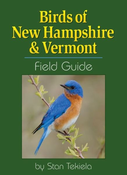 Cover for Stan Tekiela · Birds of New Hampshire &amp; Vermont Field Guide - Bird Identification Guides (Pocketbok) (2016)