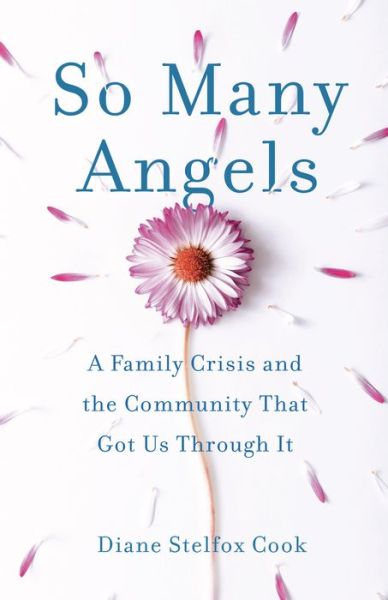 So Many Angels: A Family Crisis and the Community That Got Us Through It - Diane Stelfox Cook - Books - She Writes Press - 9781631526404 - September 3, 2019