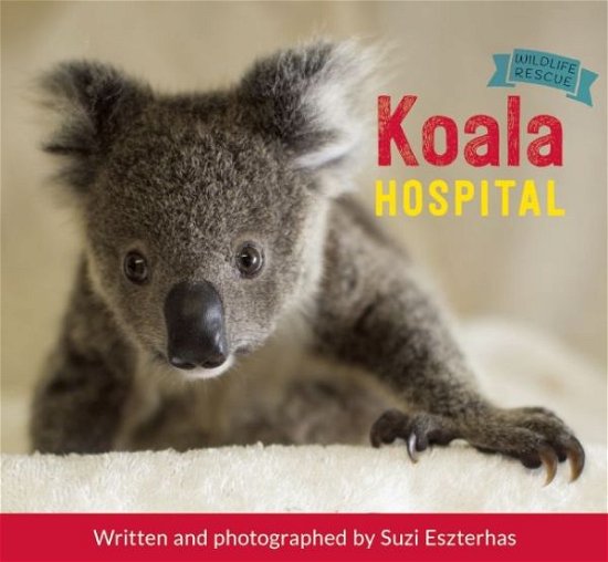 Koala Hospital - Suzi Eszterhas - Livros - Owlkids - 9781771471404 - 13 de outubro de 2015