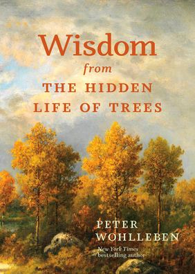 Cover for Peter Wohlleben · Wisdom from the Hidden Life of Trees - David Suzuki Institute (Innbunden bok) (2024)