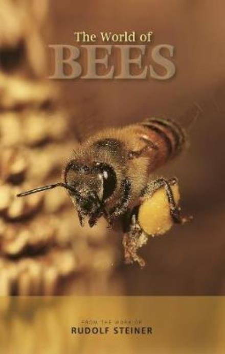 Cover for Rudolf Steiner · The World of Bees (Paperback Bog) (2017)