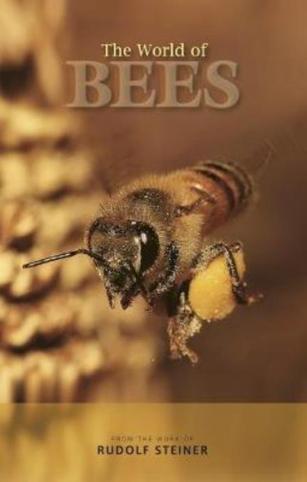 The World of Bees - Rudolf Steiner - Bøger - Rudolf Steiner Press - 9781855845404 - 23. oktober 2017