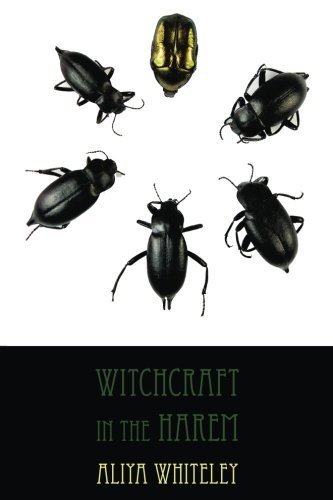 Cover for Aliya Whiteley · Witchcraft in the Harem (Paperback Book) (2013)