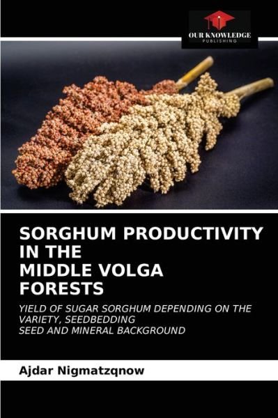 Cover for Ajdar Nigmatzqnow · Sorghum Productivity in Themiddle Volgaforests (Taschenbuch) (2021)