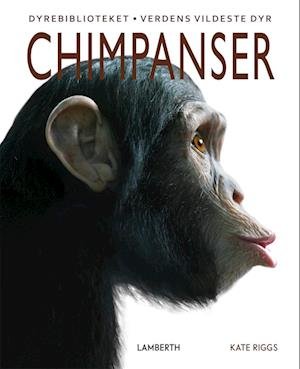 Cover for Kate Riggs · Chimpanser (Bound Book) [1er édition] (2023)