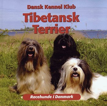 Racehunde i Danmark.: Tibetansk Terrier - Hanne Mathiasen - Bøger - Atelier - 9788778574404 - 29. november 2004