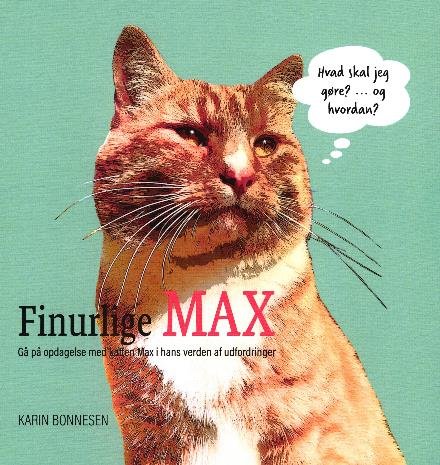 Finurlige MAX - Karin Bonnesen - Bøger - Bonnesen Books - 9788799827404 - 2018