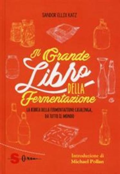 Cover for Sandor Ellix Katz · Il Grande Libro Della Fermentazione (Il) (DVD)
