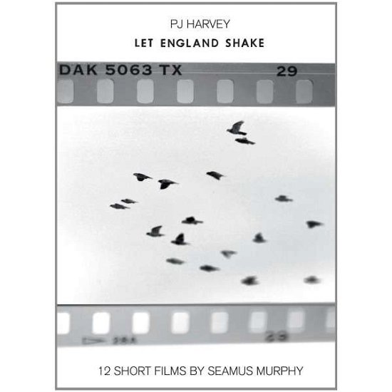 Cover for PJ Harvey · Let England Shake: 12 Short Films by Seamus Murphy (DVD) [Deluxe edition] (2012)