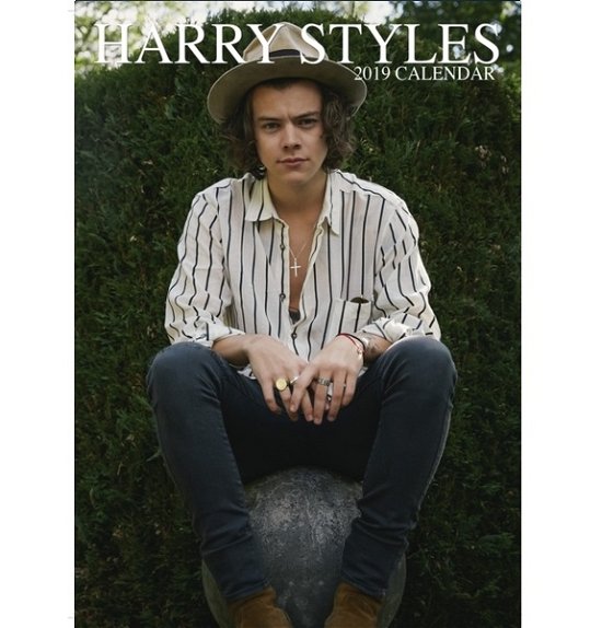 2019 Calendar - Harry Styles - Merchandise - OC CALENDARS - 0616906764405 - 