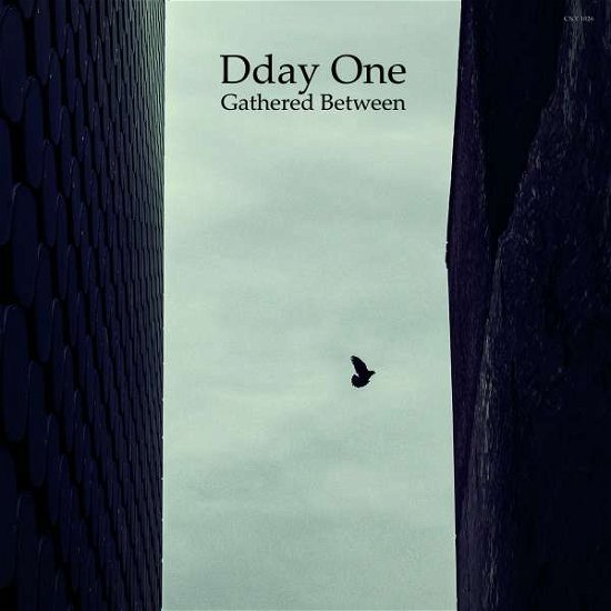 Cover for Dday One · Gathered Between (LP) (2016)