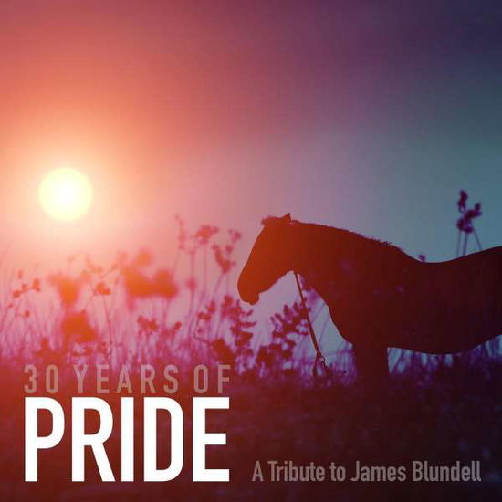 Cover for Various Artists · 30 Years of Pride - a Tribute to James Blundell (CD) (2018)