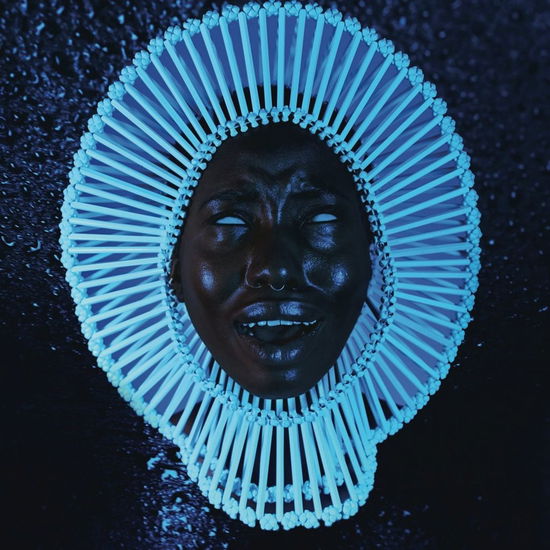 Cover for Childish Gambino · Awaken, My Love! (CD) (2016)