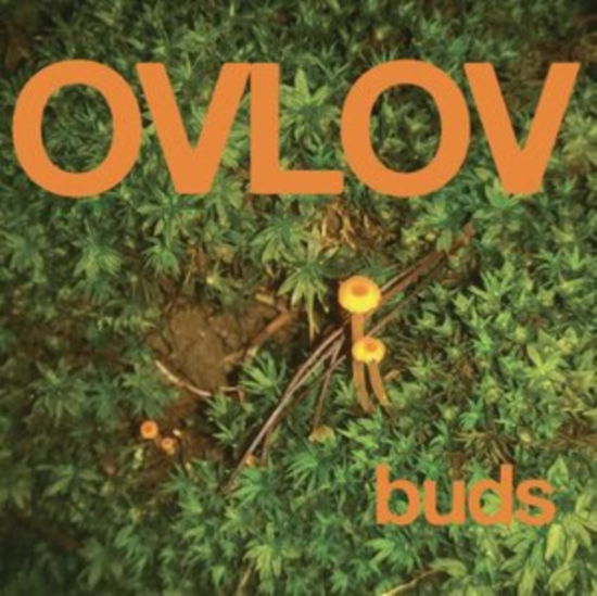 Cover for Ovlov · Buds (Orange Vinyl) (Indie Exclusive) (LP) (2023)