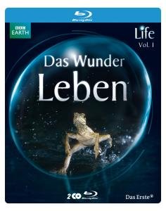 Cover for Life-das Wunder Leben.vol.1 Ltd.steelbook (Blu-ray) (2011)
