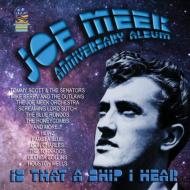 The Joe Meek Memorial Album (Vol.2) - Various Artists - Musik - CADIZ - SOUNDS OF YESTER YEAR - 5019317021405 - 2 augusti 2019