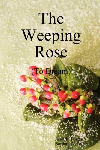 Cover for Barbara Foley · The Weeping Rose (Paperback Book)