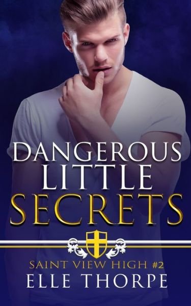 Cover for Elle Thorpe · Dangerous Little Secrets: A Reverse Harem Bully Romance (Paperback Book) (2020)