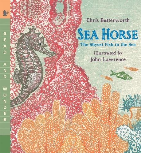 Cover for Chris Butterworth · Sea Horse: Read and Wonder: the Shyest Fish in the Sea (Paperback Bog) [Reprint edition] (2009)
