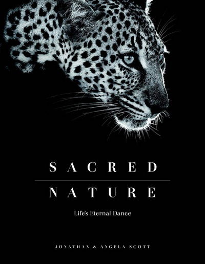 Sacred Nature: Life's Eternal Dance - Angela Scott - Kirjat - HPH Publishing - 9780994692405 - lauantai 9. tammikuuta 2016