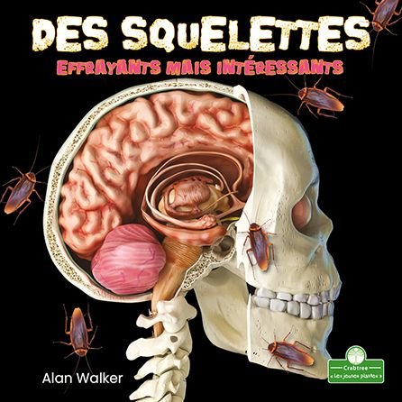 Des Squelettes Effrayants Mais Interessants - Alan Walker - Livres - Crabtree Seedlings - Les Jeunes Plantes - 9781039608405 - 1 juillet 2021