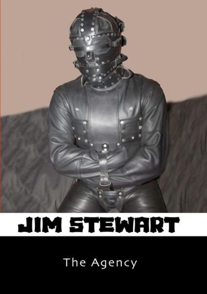 Cover for Jim Stewart · The Agency (Pocketbok) (2013)