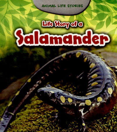 Cover for Charlotte Guillain · Life Story of a Salamander - Animal Life Stories (Paperback Book) (2015)