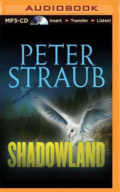 Shadowland - Peter Straub - Audiolivros - Brilliance Audio - 9781501264405 - 21 de julho de 2015