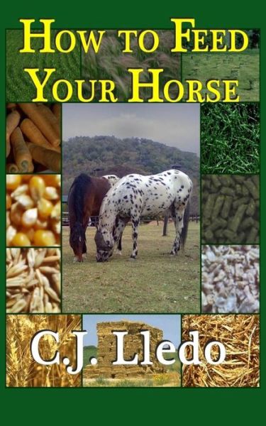 Cover for C J Lledo · How to Feed Your Horse (Paperback Book) (2014)