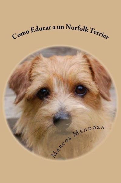 Cover for Marcos Mendoza · Como Educar a un Norfolk Terrier (Pocketbok) (2017)
