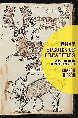 Cover for Sharon Kirsch · What species of creatures (Book) (2008)