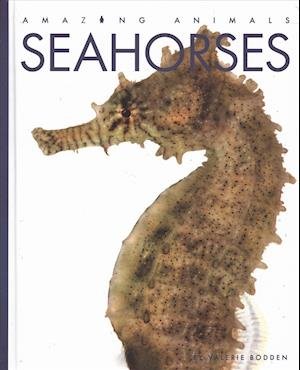 Cover for Valerie Bodden · Seahorses (Bog) (2019)