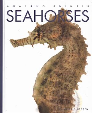 Cover for Valerie Bodden · Seahorses (Book) (2019)