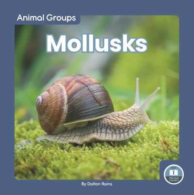 Mollusks - Dalton Rains - Livres - Little Blue House - 9781646198405 - 1 août 2023