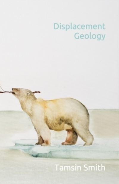 Cover for Tamsin Spencer Smith · Displacement Geology (Paperback Book) (2020)