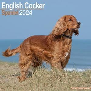 English Cocker Spaniel Calendar 2024  Square Dog Breed Wall Calendar - 16 Month -  - Merchandise - Avonside Publishing Ltd - 9781804600405 - July 1, 2023