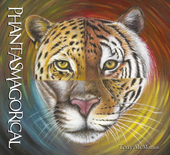 Cover for Terry McManus · Phantasmagorical (Paperback Book) (2025)