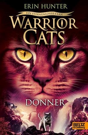 Cover for Erin Hunter · Warrior Cats - Ein sternenloser Clan. Donner (Book) (2024)