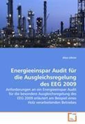 Cover for Ullrich · Energieeinspar Audit für die Au (Book)