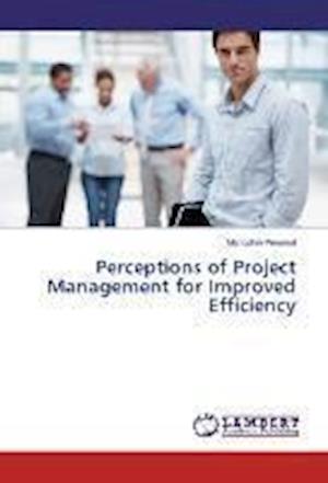 Cover for Perumal · Perceptions of Project Manageme (Book)