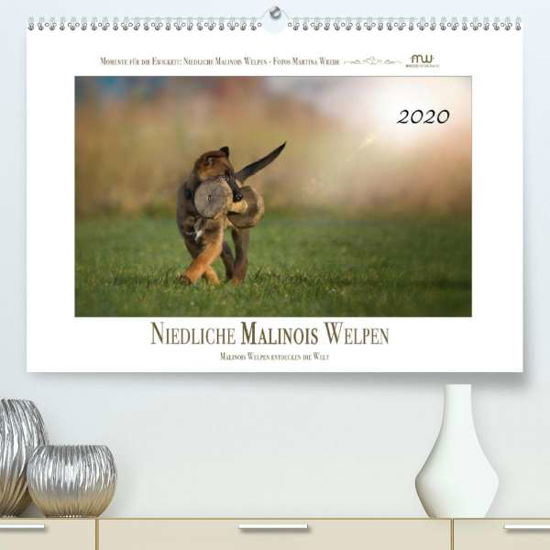 Cover for Wrede · Niedliche Malinois Welpen (Premiu (Book)