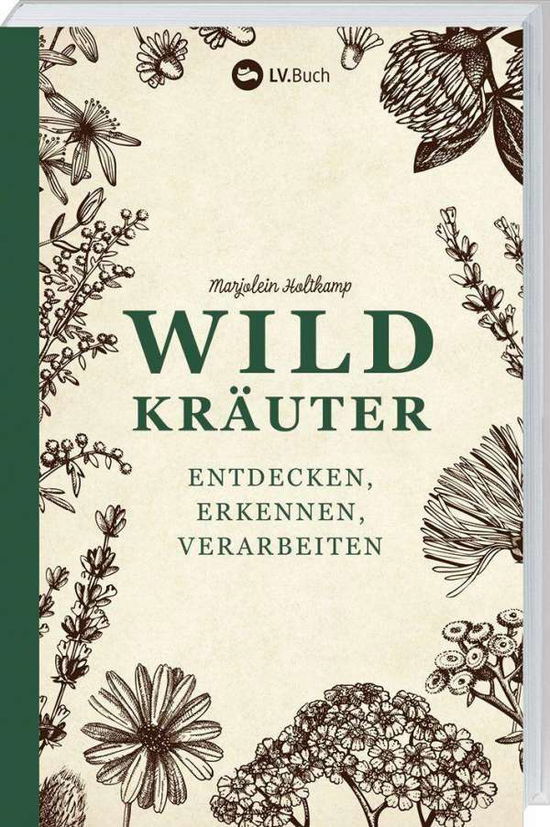 Cover for Holtkamp · Wildkräuter entdecken, erkenne (Book)