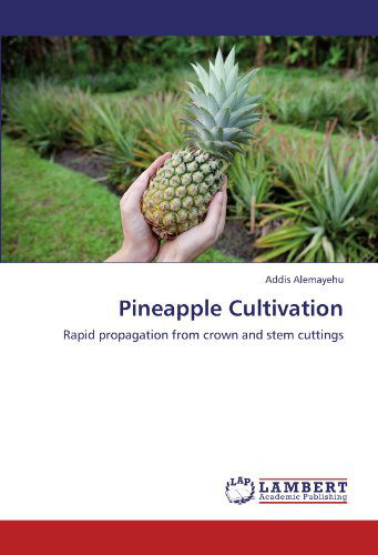 Cover for Addis Alemayehu · Pineapple Cultivation: Rapid Propagation from Crown and Stem Cuttings (Paperback Book) (2012)