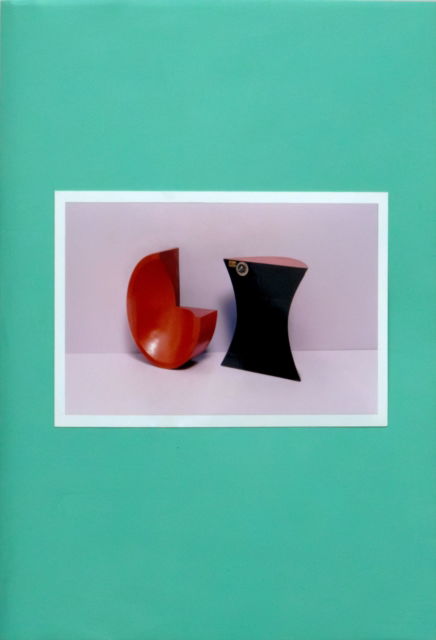 Cover for Lena Amuat · Mathematische Modelle 2019-2024 (Paperback Book) (2024)