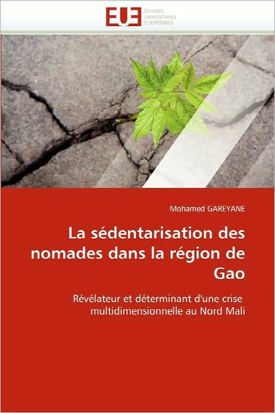 Cover for Mohamed Gareyane · La Sédentarisation Des Nomades Dans La Région De Gao: Révélateur et Déterminant D'une Crise   Multidimensionnelle Au Nord Mali (Paperback Book) [French edition] (2018)